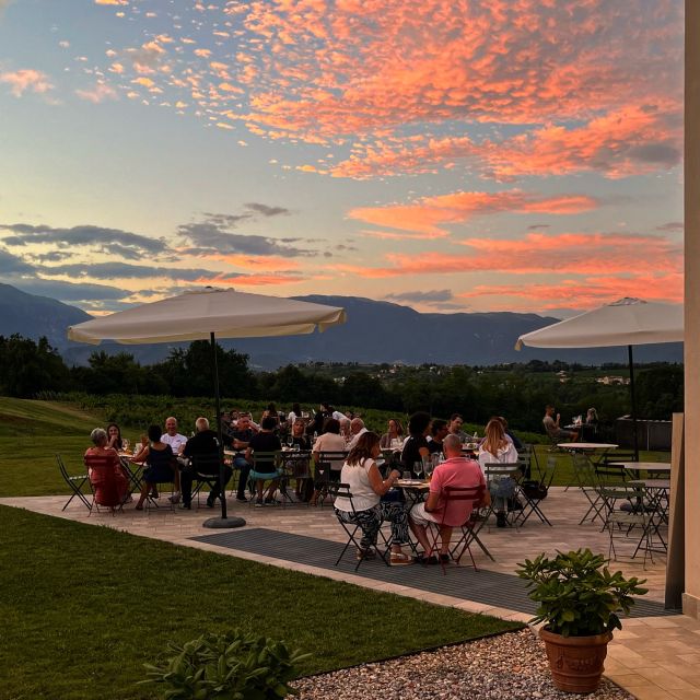 Conegliano: Prosecco Hills and Vineyards tour - Key highlights worth waking up for