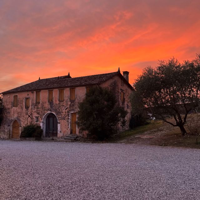 Prosecco Hills: Lovely Tasting Night - Culinary excellence: what you’re eating and why it’s paired this way