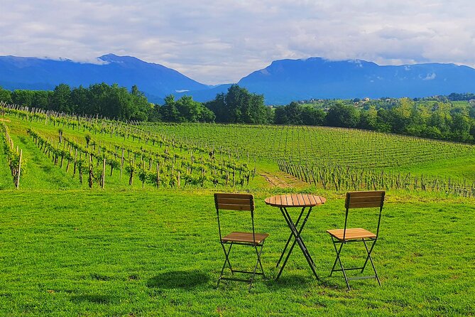 Unconventional Prosecco Tasting with Stunning View on Vineyards - Quick FAQ