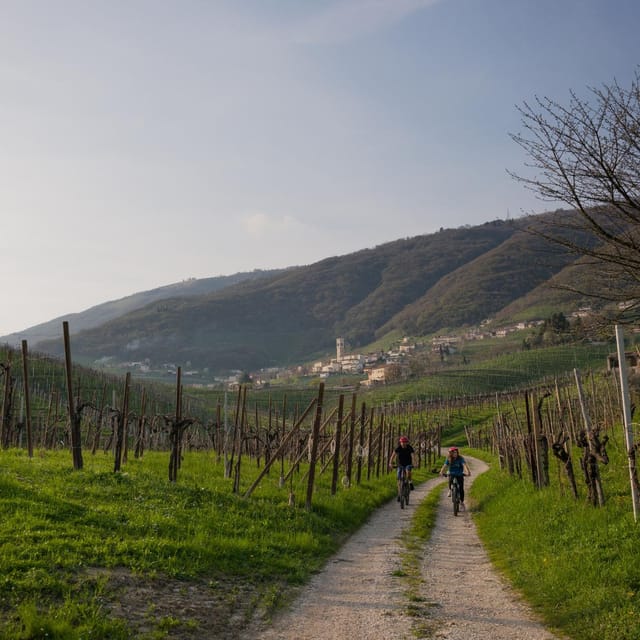 Valdobbiadene: e-bike Tour on the Prosecco Hills - Should You Book This Valdobbiadene E-Bike Tour?