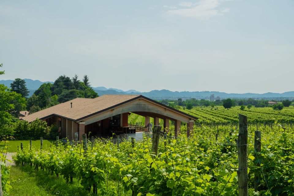Valdobbiadene: Prosecco Tasting Experience - Practical tips for a smooth visit to Spumanti Gemin