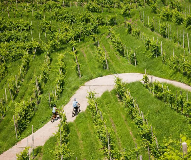 Valdobbiadene: self-guided e-bike tour in the Prosecco Hills - Should you book this self-guided e-bike tour in Valdobbiadene?