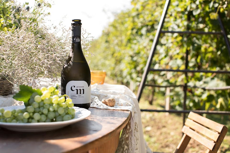 Wine Tasting: the flavors of the “Prosecco Hills” - The 4-Prosecco Flight and Local Finger Food Pairings